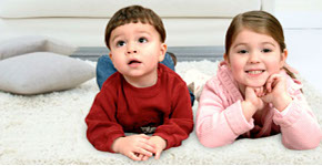 We offer professional carpet carpet cleaning in the raleigh, nc Triangle area. We use no water, leaving you with clean sanitized, dry carpeting